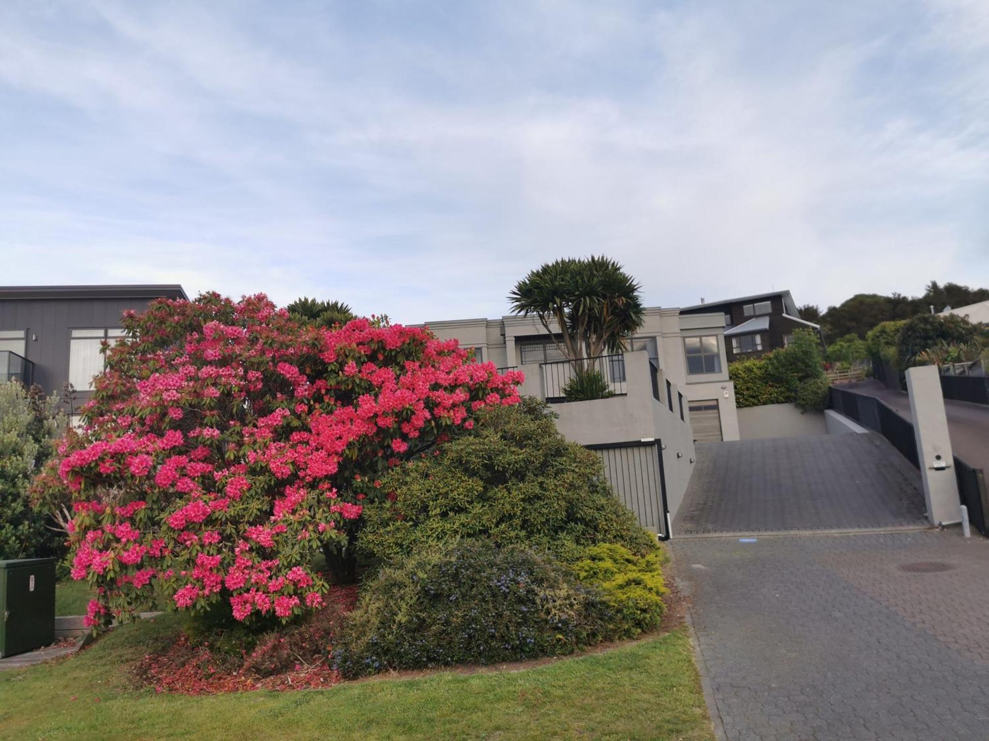 Lakeview Holiday Hideaway Taupo Exteriér fotografie
