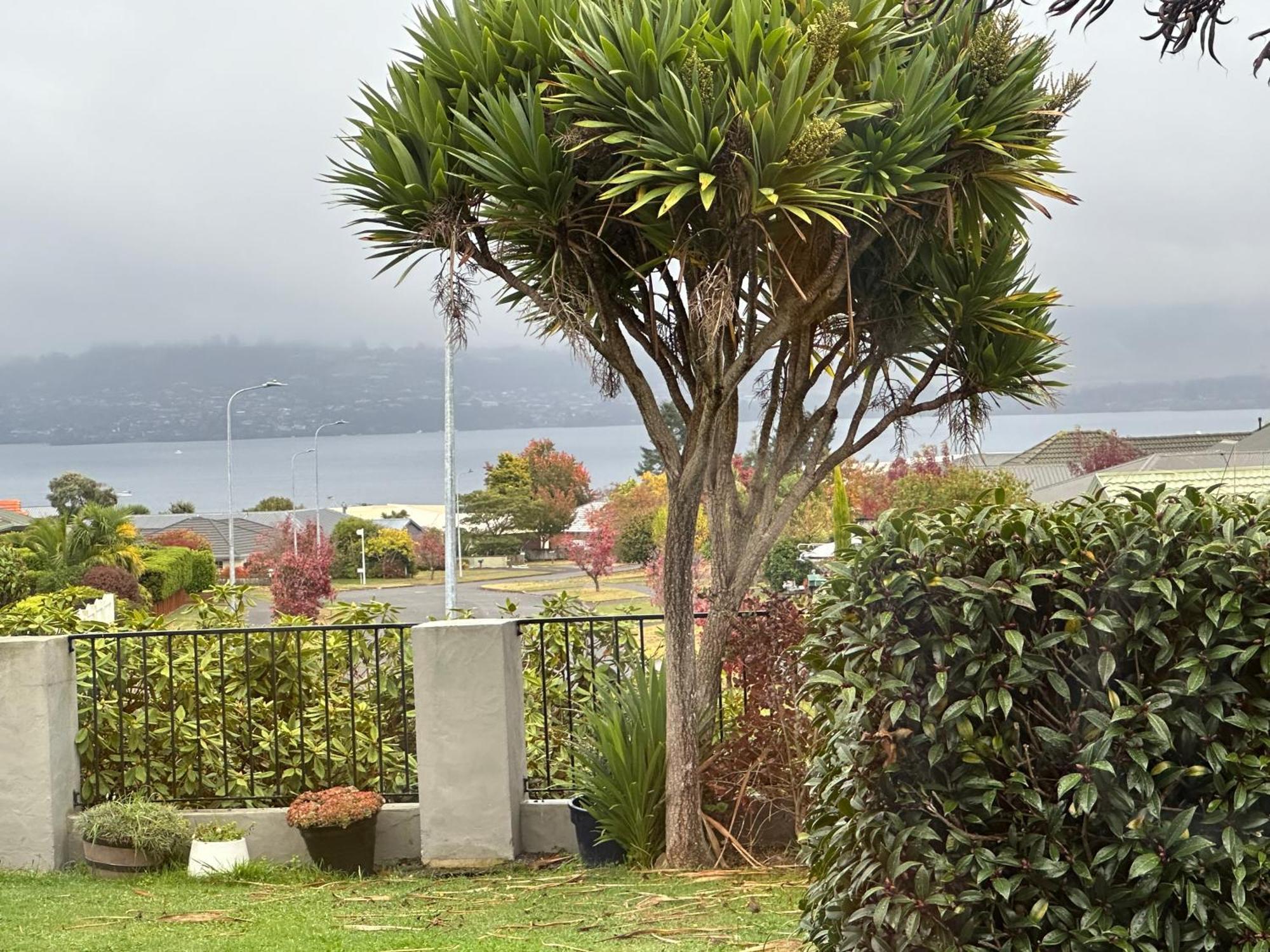 Lakeview Holiday Hideaway Taupo Exteriér fotografie