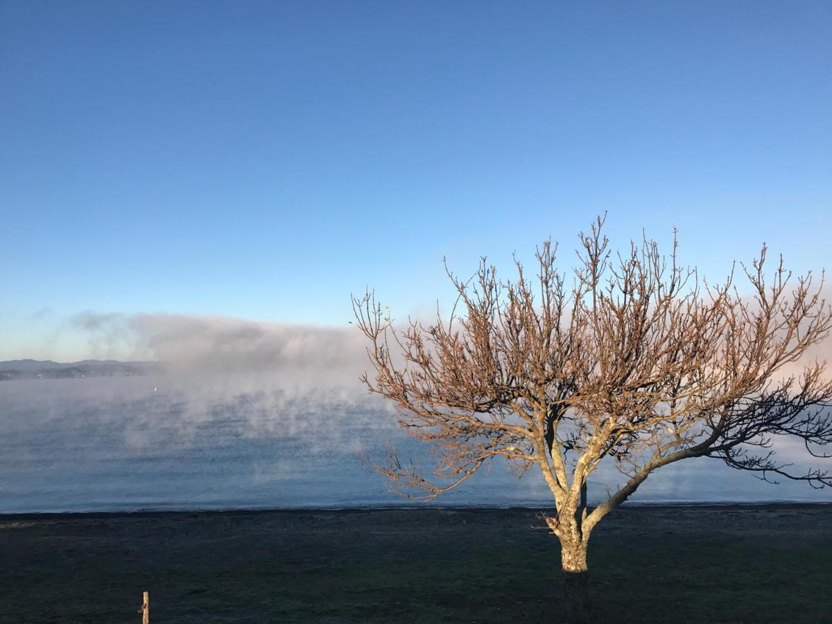Lakeview Holiday Hideaway Taupo Exteriér fotografie